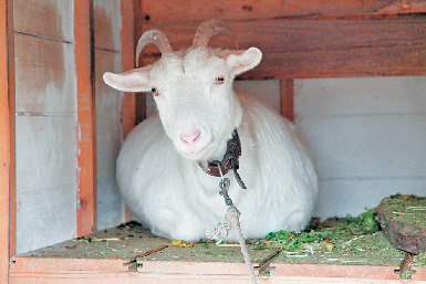 自然派創作料理を贅沢に味わって「Ours Dining」