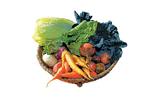 那須ならではの食材を隠れ家イタリアンで「Cucina Hasegawa」