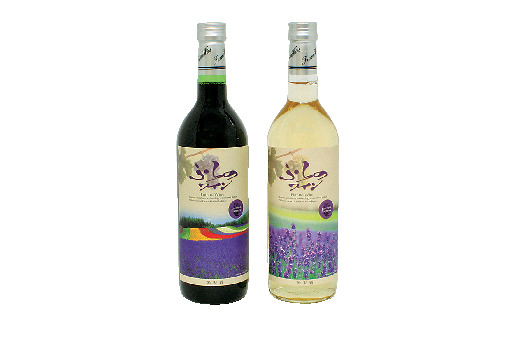 フラノマルシェのショッピングナビ