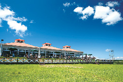 【那須×なすべん】かわいい動物の表情に思わずにっこり「那須どうぶつ王国バーベキューガーデン」