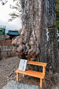 日光山中禅寺立木観音