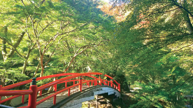 【伊香保温泉観光×秘湯コース】河鹿橋