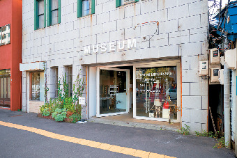 MUSEUM STORE