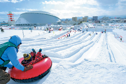 A.ラベンダーが見ごろを迎える夏がおすすめ!