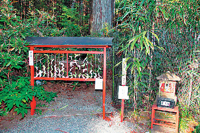【日光・二荒山神社×有料エリア】化燈籠