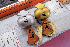 【日光・二荒山神社×有料エリア】大国殿