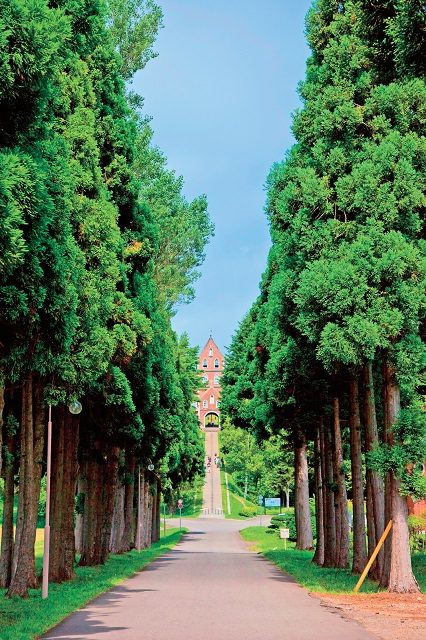 トラピスト修道院の並木道