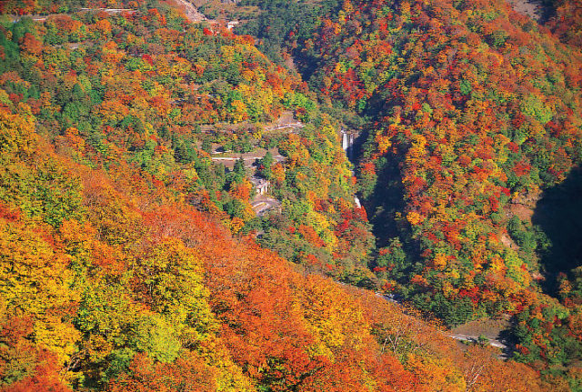 【日光・中禅寺湖×ドライブ】1.いろは坂