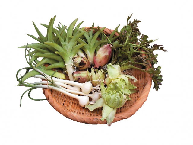 日本の旬を体にやさしい和食で「那須の里山料理 草花宿」