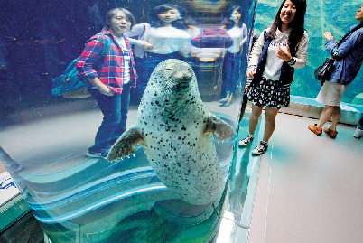 【2泊3日の北海道旅行モデルコース】2日目:11:00 旭川動物園でたっぷり動物たちを堪能!