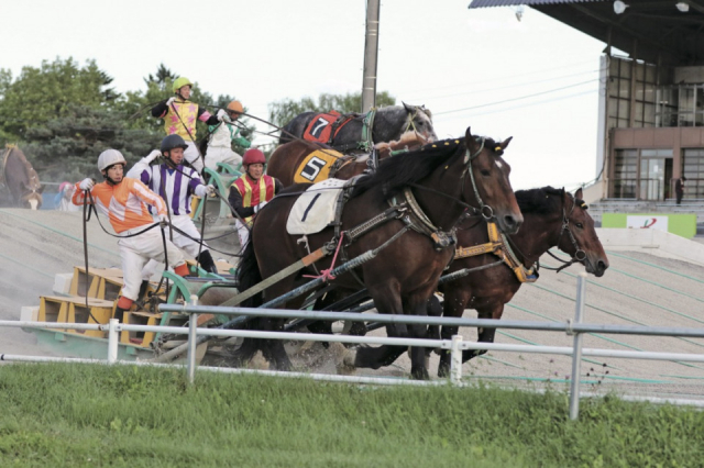 【十勝・帯広のおすすめの観光&グルメスポット】ばんえい十勝