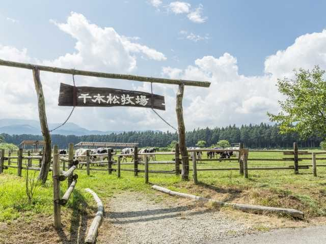 【栃木・鬼怒川&塩原×ドライブ④】自然のなかで一日中思いきり遊ぶ「那須千本松牧場」