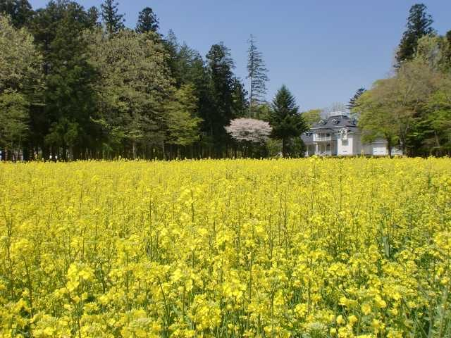 【日光・那須×シーズンカレンダー】5月