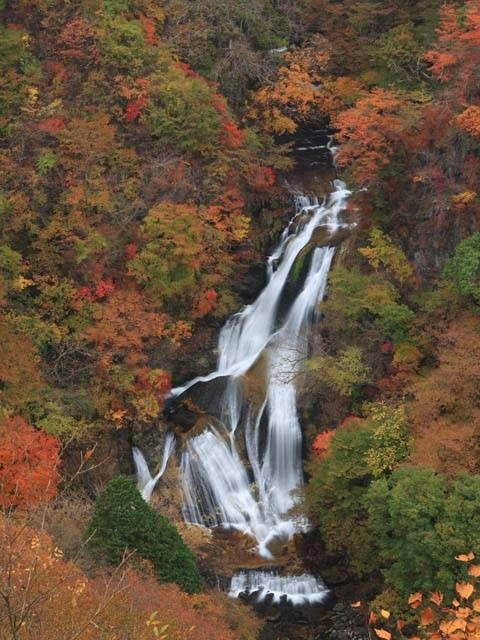 【日光・霧降高原×ドライブ】1.日光三名瀑のひとつ霧降ノ滝を観賞