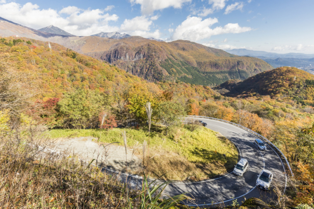 日光ドライブのポイント
