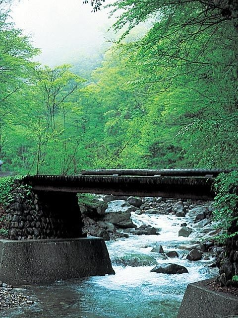 奥鬼怒自然研究路