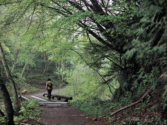 奥鬼怒自然研究路
