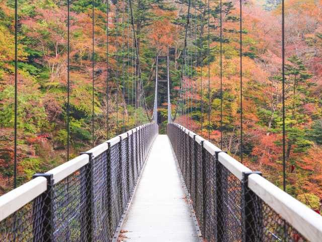 ②塩原渓谷遊歩道