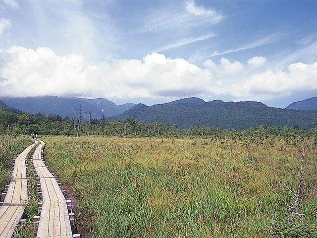 戦場ヶ原コース