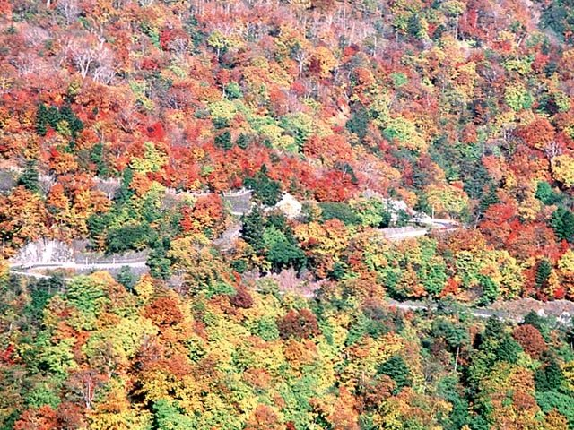 【日光・那須×シーズンカレンダー】10月