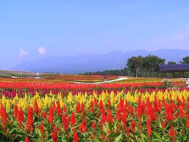 【日光・那須×シーズンカレンダー】9月