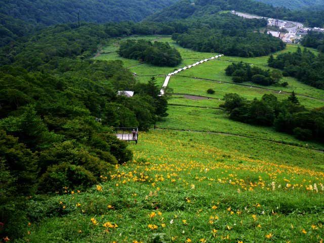 【日光・那須×シーズンカレンダー】7月