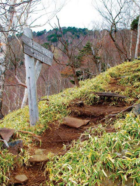 【日光・中禅寺湖×ドライブ】4.半月山展望台