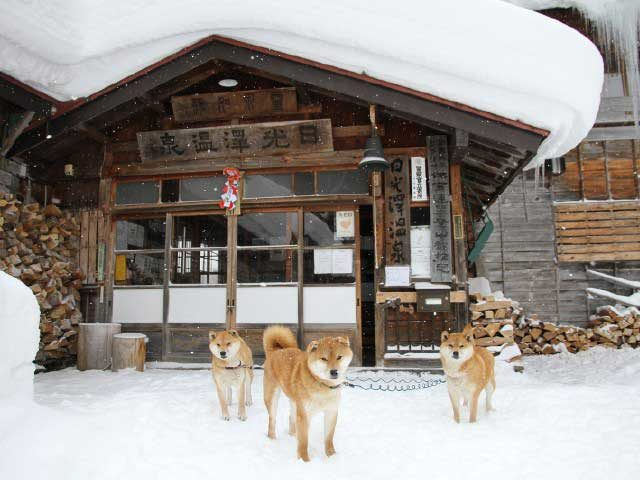 日光澤温泉