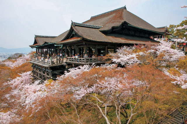 【清水寺のキーワード】5.桜も紅葉も四季折々の景観が魅力的!