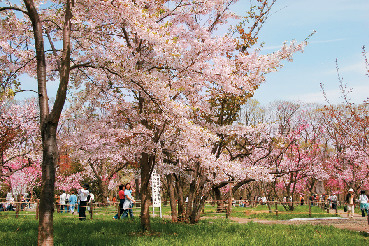 開拓者の信心のより所