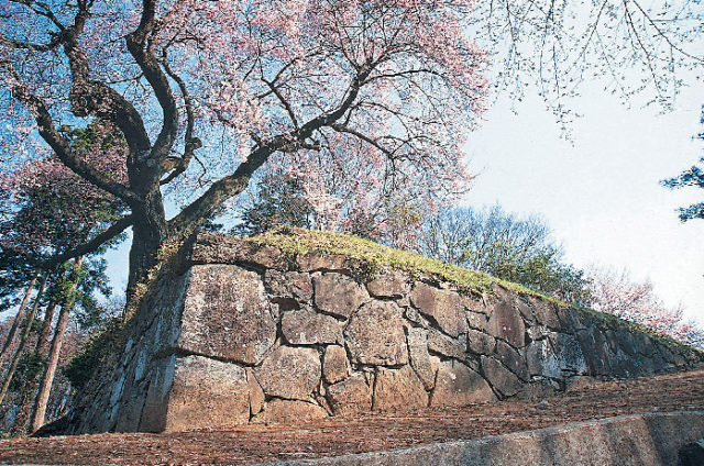 沼田公園(沼田城址)