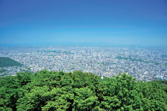 昼はこんな感じ