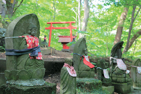 円山八十八ヵ所登山道