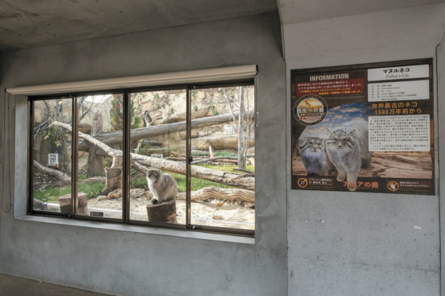 【栃木・那須どうぶつ王国×満喫するポイント】新施設で充実度アップ