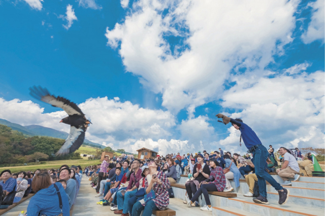 【栃木・那須どうぶつ王国×パフォーマンス】バードパフォーマンスブロード