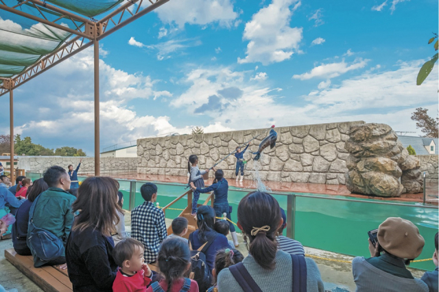 【栃木・那須どうぶつ王国×パフォーマンス】アクアフレンズ