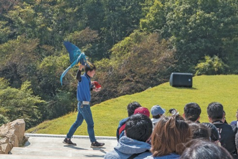 【栃木・那須どうぶつ王国×パフォーマンス】バードパフォーマンスブロード