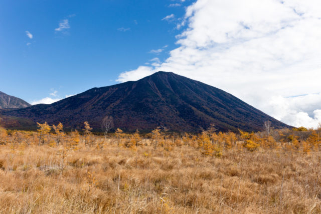 【日光・奥日光×ドライブ⑤】大自然を楽しみながらハイキング「戦場ヶ原」
