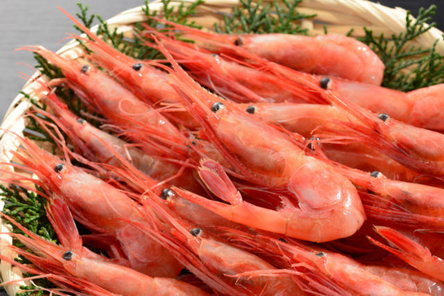 小樽の代表的な魚介