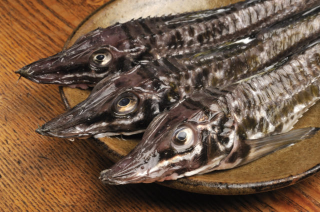 小樽の代表的な魚介