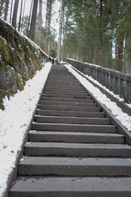 【日光東照宮×参拝ルート】+30分でもっと探求 奥宮ゾーンへ