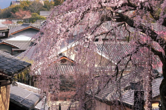 京都のインスタ映えスポット25選 産寧坂