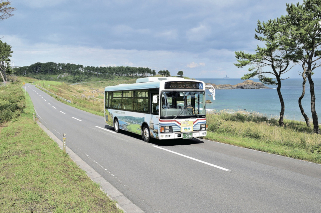 種差海岸は遊覧バスでめぐるのもおすすめ!