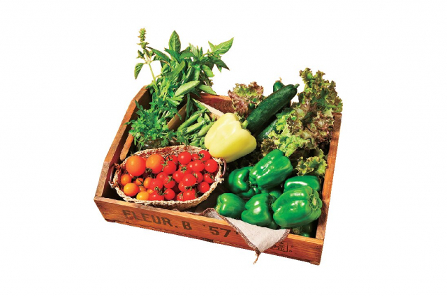 【富良野のレストラン】花七曜