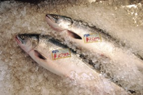 道の駅 うとろ・シリエトク