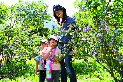 【群馬の道の駅×川場田園プラザ】遊びスポットがいっぱい!