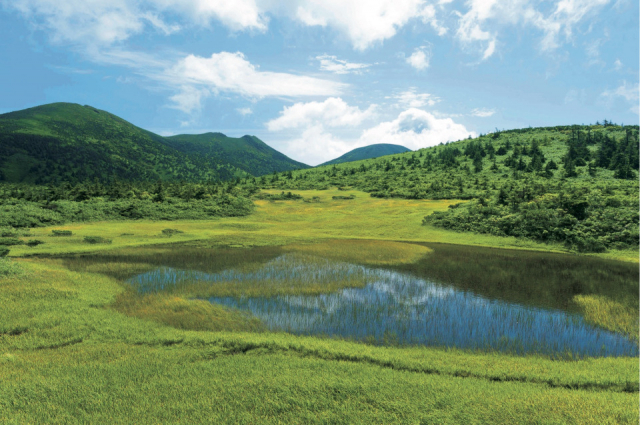 〈八甲田山麓ドライブコース〉⑤ 八甲田ゴードライン