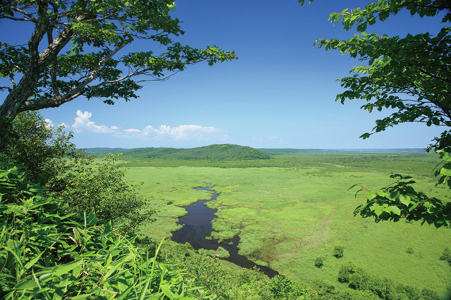 【釧路湿原のビュースポット×展望台】コッタロ湿原展望台