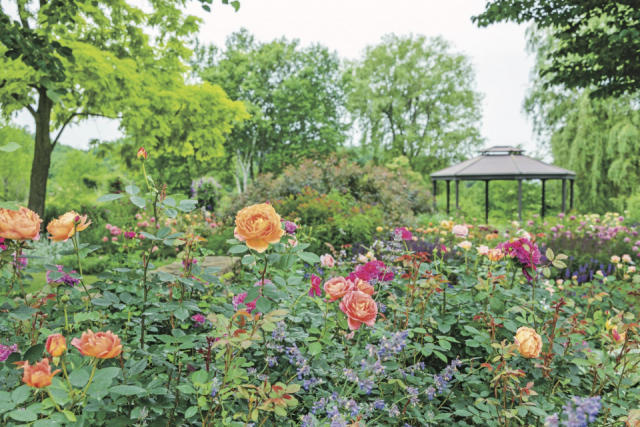 【十勝・帯広のおすすめの観光&グルメスポット】十勝ヒルズ