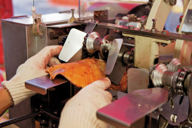 手焼きさきいか